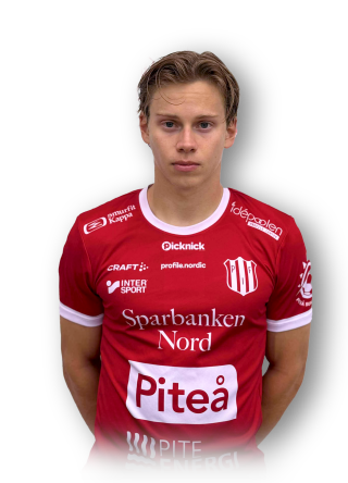 Hugo Bergström25ny